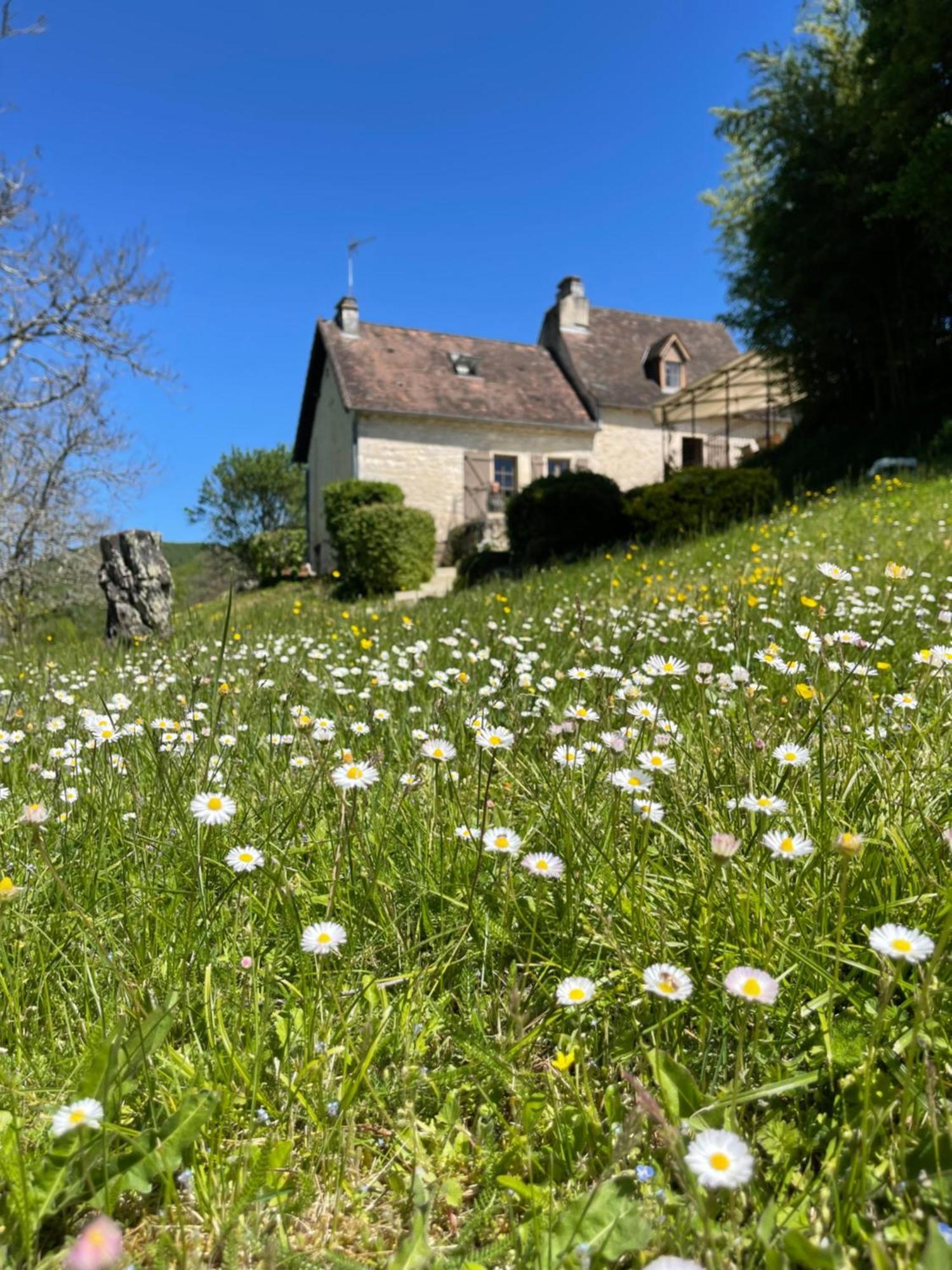 Villa Domaine Du Bonheur En Pierre Avec Piscine, Proche Sarlat à Carlux Extérieur photo